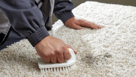 Professional Rug Cleaning Bungaree